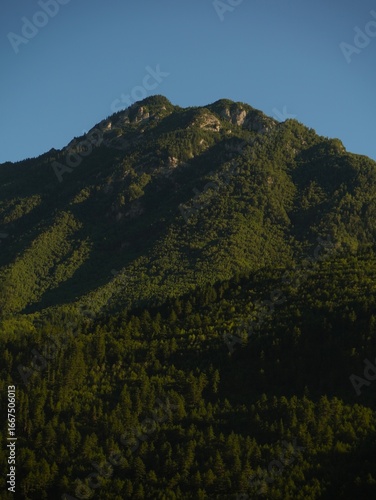 view of the mountains