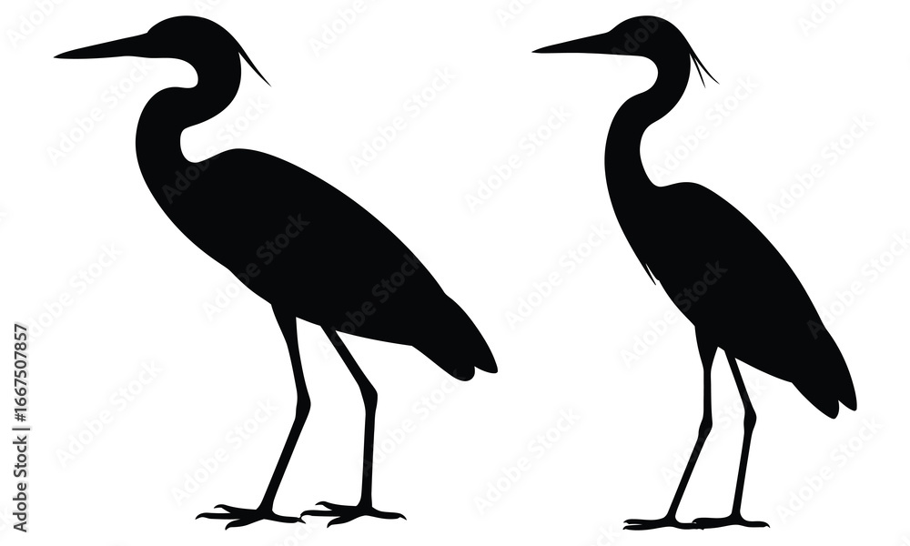 Fototapeta premium heron silhouette vector