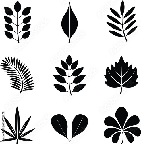 Nine Black Silhouette Plant Leaf Icons On White Background nature