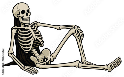 Halloween skeleton vector: spooky, whimsical, relaxed pose for festive designs