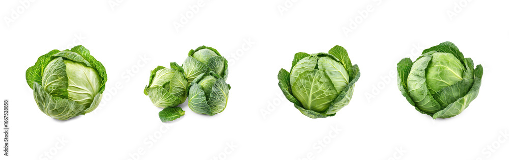 Fototapeta premium Cabbage heads or leaves boiled or steamed until tender, commonly served as a side dish. full length isolate on transparent background