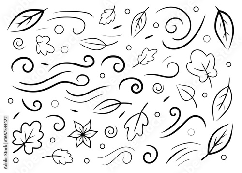 A hand drawn collection of delicate leaf and flowing wind line art sketches perfect for nature themed designs and artistic projects