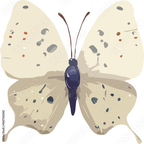 butterfly vector art