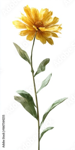 Vibrant Yellow Flower with Green Leaves on White Background