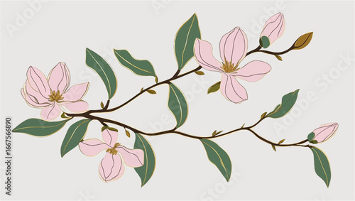 Delicate flowering dogwood branch with light pink petals and leaves, perfect for spring and naturethemed designs, invitations, and publications.