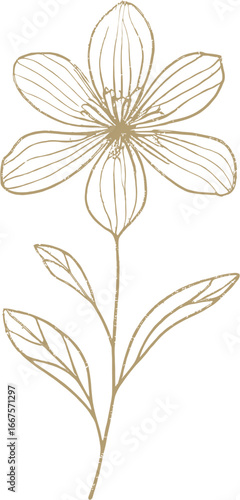 Gold outlined flower on stem suitable for floral designs, stationery, wedding invitations, and botanical illustrations. Elegant and versatile artwork.