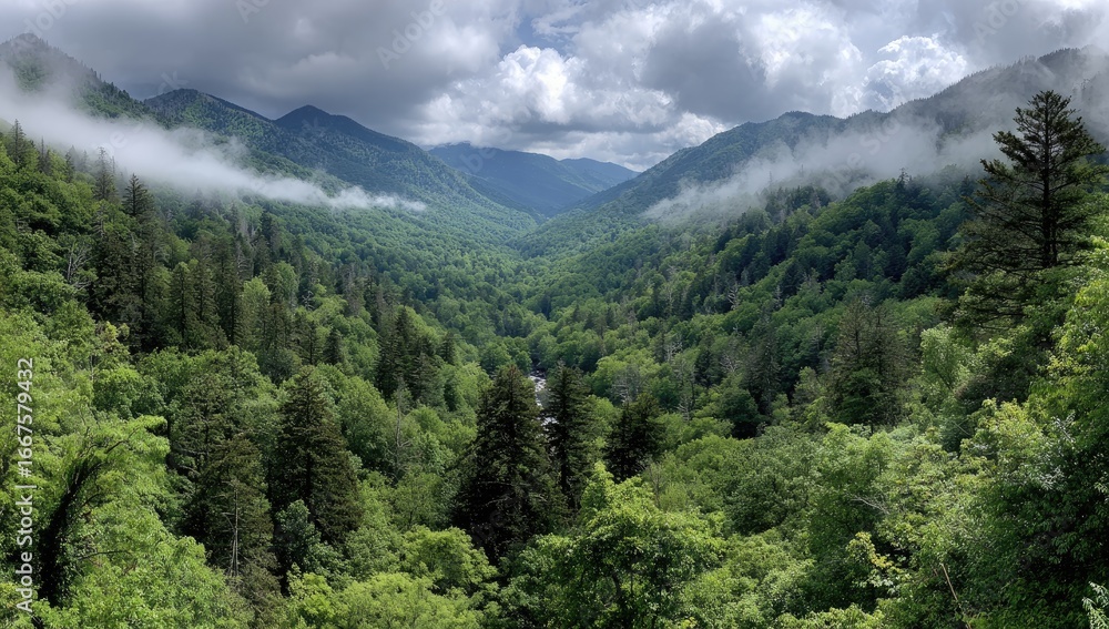 Fototapeta premium Lush valley nestled amongst misty mountains