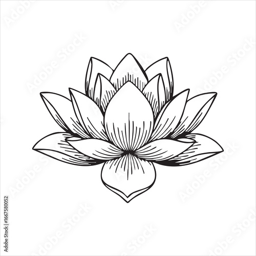 Lotus Flower Line Art – Black and White Vector Illustration with Layered Petals and Symmetrical Botanical Design

