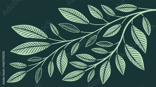 Elegant Green Leaf Branch:  Hand-Drawn Botanical Illustration, Serene Nature Design, Minimalist Style