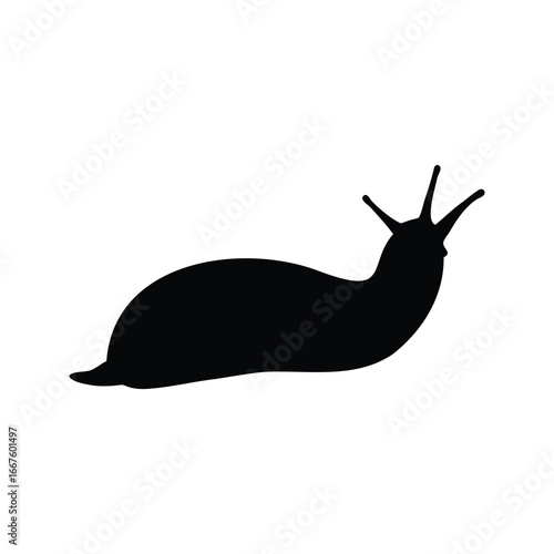 Black silhouette of a slug with antennae on a white background, A black slug silhouette vector illustration