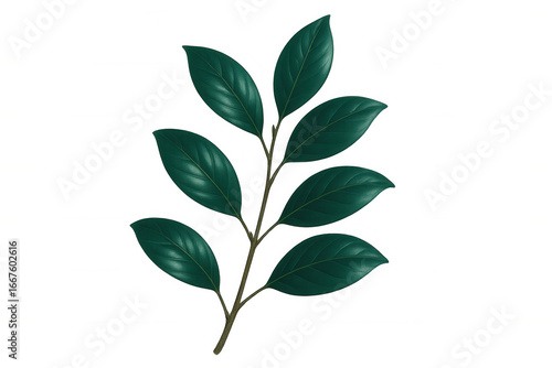 Green botanical branch with glossy leaves, vector graphic design element on transparent backdrop, highlighting natural detail