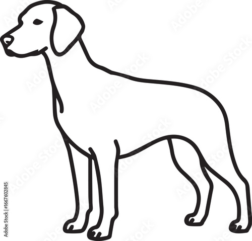 Elegant minimalist line art of a Weimaraner dog standing gracefully, perfect for modern designs and pet-themed projects, simple, clean, and easily scalable