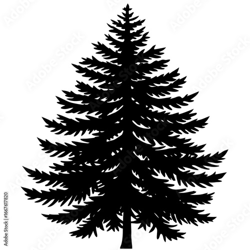 Black Silhouette of a Pine Tree on a White Background evergreen conifer