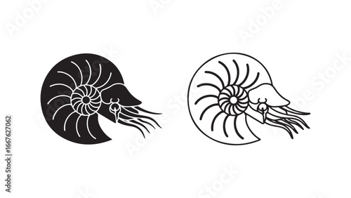 Nautilus shell outline and solid form with transparent background