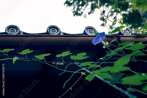 abstract floral background