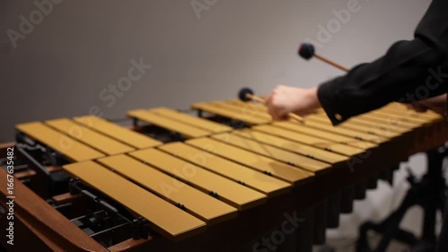Musician hands close up percussionist playing vibraphone marimba xylophone POV view lens blur