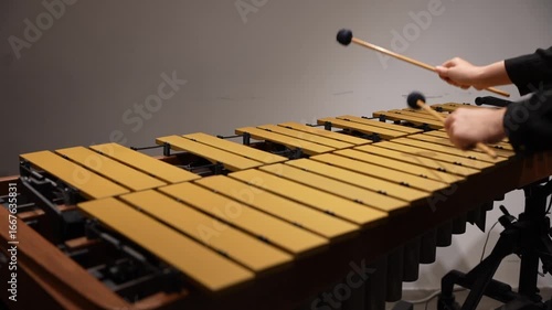 Musician hands close up percussionist playing vibraphone marimba xylophone POV view lens blur