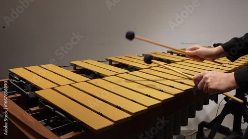 Musician hands close up percussionist playing vibraphone marimba xylophone POV view