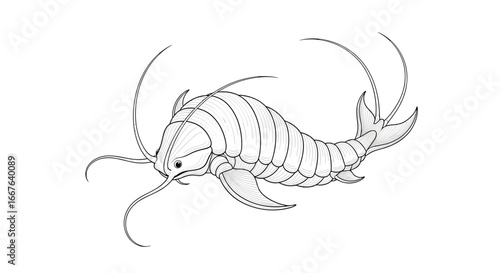 Artistic interpretation of an ancient aquatic arthropod creature drawing illustration