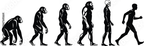 Evolution of humans from primates to upright posture, black silhouettes, walking progression, body structure change, historical development theme