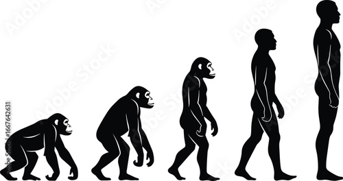 Human evolution silhouette, primate to man, walking progression, upright posture, anthropology concept, black and white art, science, biology, timeline, history