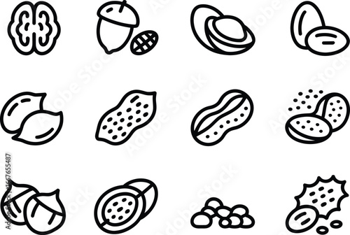Vector illustration of various nuts including walnuts peanuts almonds and hazelnuts for healthy eating
