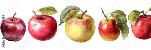 Vector illustration, set of apples in watercolor style, banner