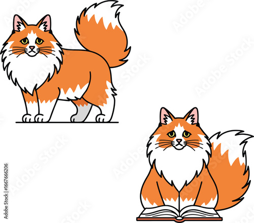 Orange white fluffy cat standing and sitting with book vector