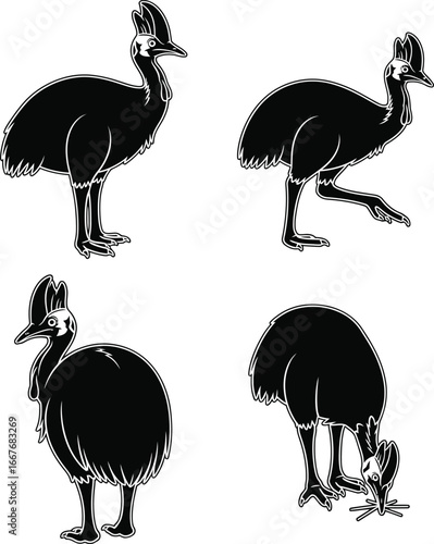 Four stylized black silhouettes of cassowary birds in different poses