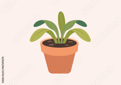 Flat style vector illustration of indoor houseplants in pots. Includes tropical, exotic, and decorative foliage such as monstera, aloe, ficus, palm, for modern interior decoration.