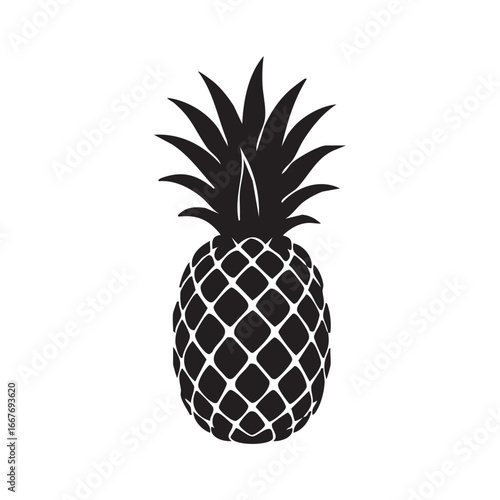pineapple vector illustration