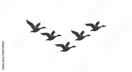 Flying geese silhouette vector image for migration season wildlife and nature illustration design