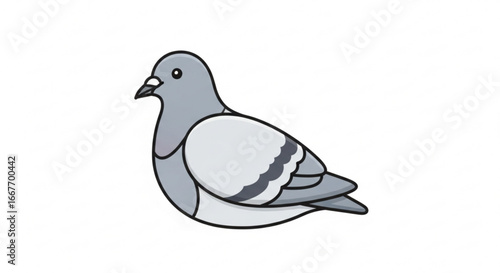 Cartoon pigeon drawing vector illustration of gray bird with black outline design for kids and adults art 100