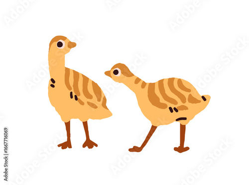 Cute turkey poults. Funny chickens, joyful chicks, happy ducklings, kids of ducks and geese. Baby poultry, domestic birds, farm animals. Barnyard fowl. Flat isolated vector illustration on white