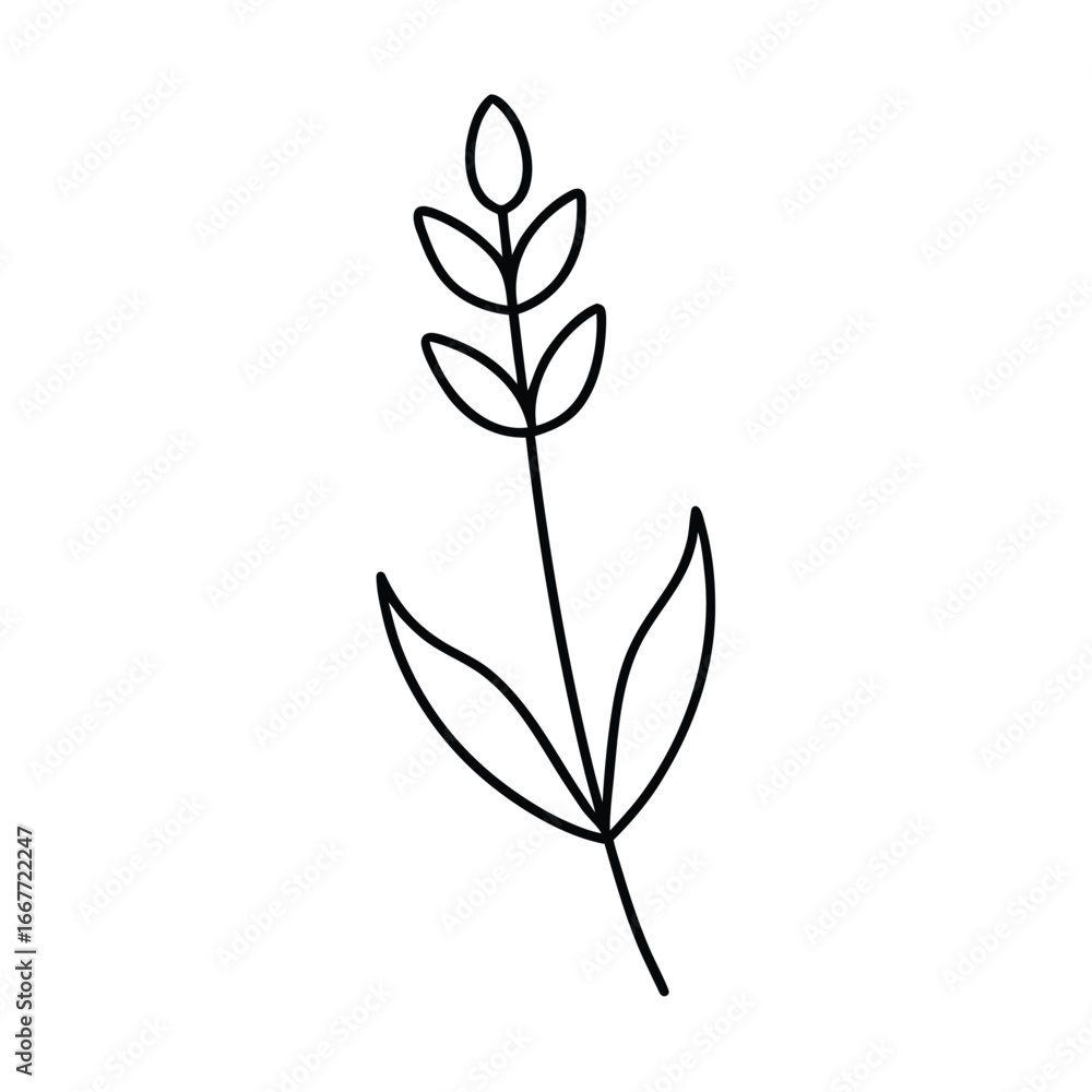 Obraz premium Elegant Lavender Flower Outline Illustration with Stem for Botanical Designs and Creative Projects