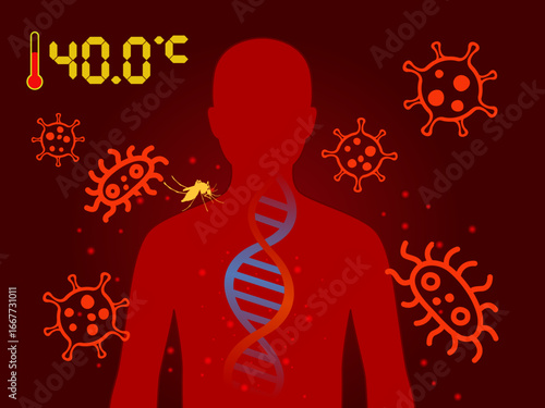 Mosquito-borne infection triggers fever and immune response—DNA, pathogens, and danger converge in vivid detail.
