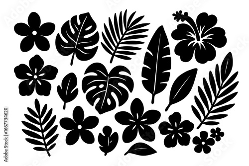 Set of tropical flowers and leaves silhouettes. Black decorative vector shapes of exotic plants. Botanical collection with monstera, palm leaf, hibiscus and plumeria flower.
