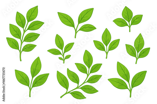 Set of fresh green leaves, branches, and sprouts. Botanical vector illustration of various plant foliage elements. Natural, organic, and eco concept design on a clean background.