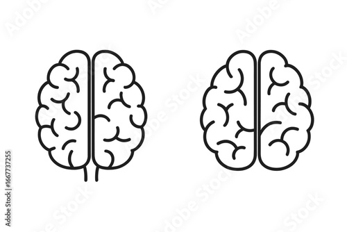 Simple minimalist line art of human brain hemispheres, left and right side illustration, cartoon style, medical and psychology concept, transparent vector set