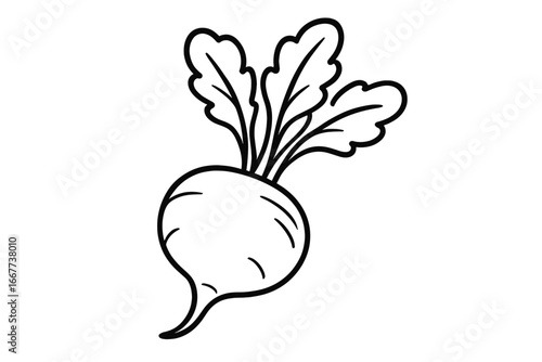 Simple line art radish with leafy greens top view vector illustration, unique vegetable shape drawing, clean botanical design clipart on transparent background