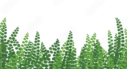 Vibrant green foliage with delicate leaves creates a fresh, natural backdrop for your designs.