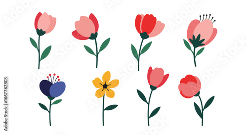 Charming collection of colorful blooming flowers with delicate green stems and leaves