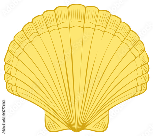 Elegant Scallop Shell Illustration in Gold Tones Nautical Aesthetic