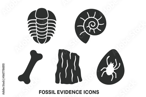 Fossil evidence icon set. Solid glyphs of paleontology symbols like trilobite, ammonite, dinosaur bone, petrified wood, and insect in amber. Prehistoric evolution vector.