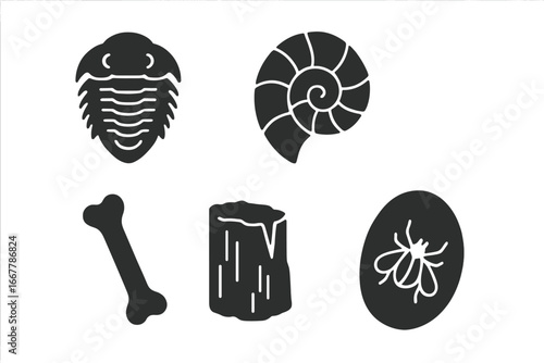 Fossil evidence glyph icon set. Paleontology concept. Prehistoric extinction symbols. Trilobite, ammonite, dinosaur bone, petrified wood, insect in amber. Vector illustration.