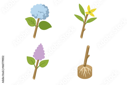Woody shrub cutting icon set. Isometric vector of plant propagation. Hydrangea, forsythia, and lilac cuttings for rooting. Gardening, horticulture, and botany concept art.