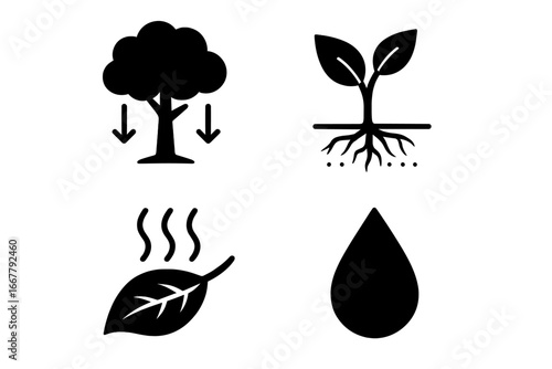 Plant water cycle vector icon set. Solid glyph icons showing plant role in water circulation. Tree canopy interception, root absorption, leaf transpiration, dew drop. Ecology.