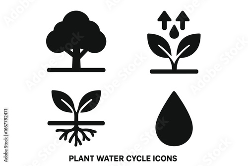 Plant water cycle vector icon set. Solid glyph icons showing plant transpiration, root absorption, tree canopy, and water drops. Ecology, biology, and environment concepts.
