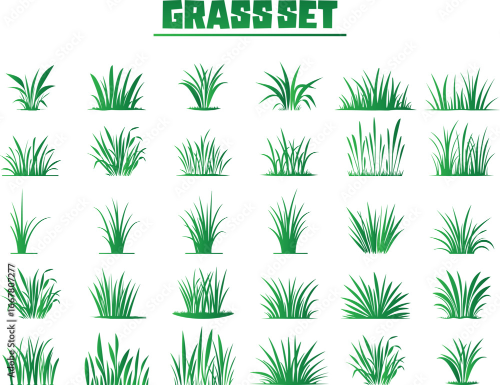 Fototapeta premium Different types of green grass isolated on white background.