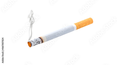 A burning cigarette emitting smoke

